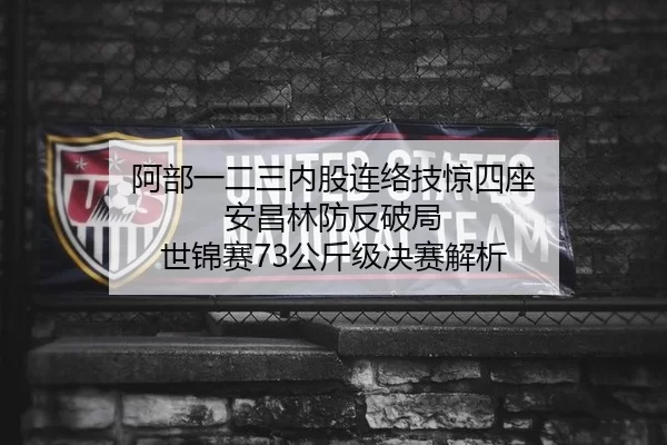 阿部一二三内股连络技惊四座 安昌林防反破局 世锦赛73公斤级决赛解析